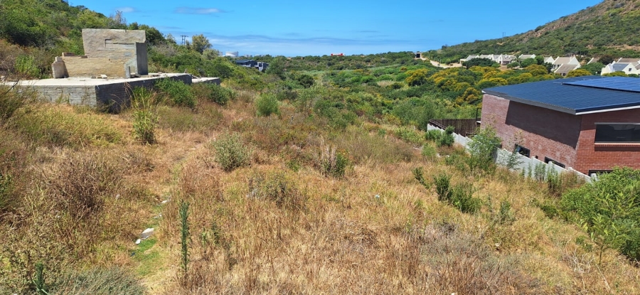 0 Bedroom Property for Sale in Island View Western Cape